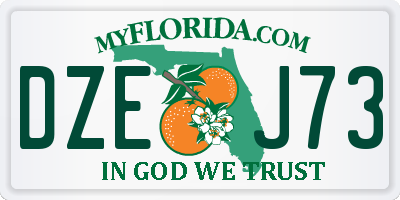 FL license plate DZEJ73