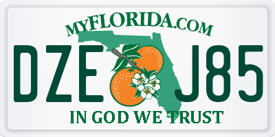 FL license plate DZEJ85