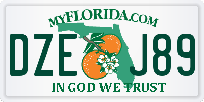 FL license plate DZEJ89