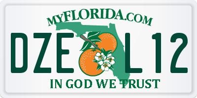 FL license plate DZEL12
