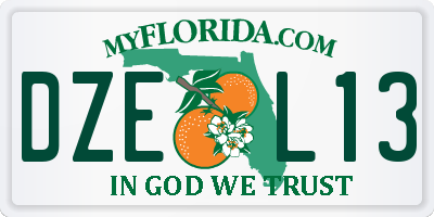 FL license plate DZEL13
