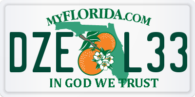 FL license plate DZEL33