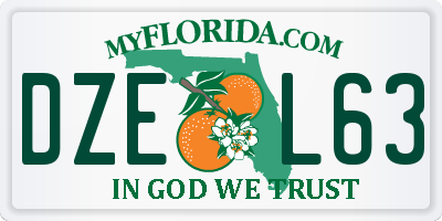 FL license plate DZEL63