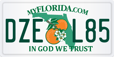 FL license plate DZEL85