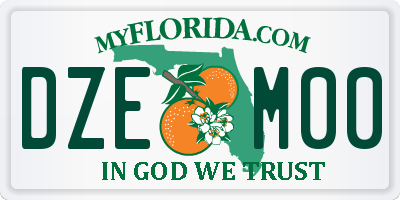 FL license plate DZEM00