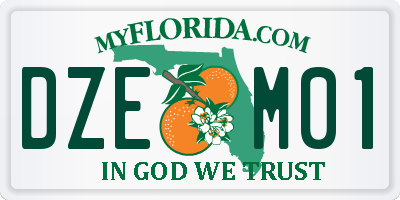 FL license plate DZEM01