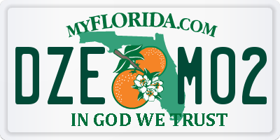 FL license plate DZEM02