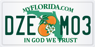 FL license plate DZEM03