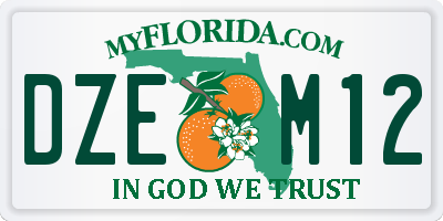 FL license plate DZEM12