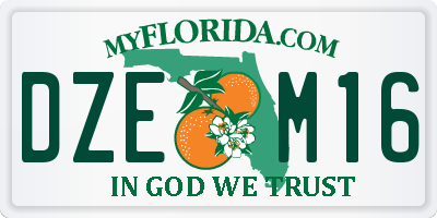 FL license plate DZEM16