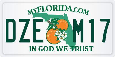 FL license plate DZEM17