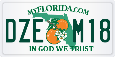 FL license plate DZEM18