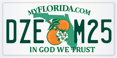 FL license plate DZEM25