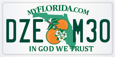 FL license plate DZEM30
