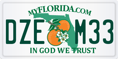 FL license plate DZEM33