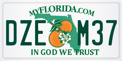 FL license plate DZEM37