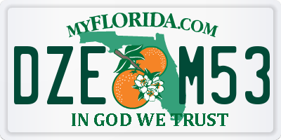 FL license plate DZEM53