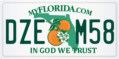 FL license plate DZEM58