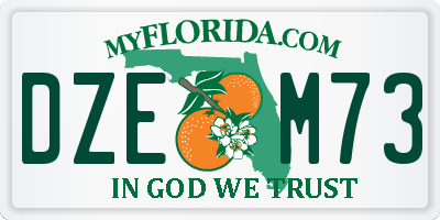 FL license plate DZEM73
