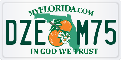 FL license plate DZEM75