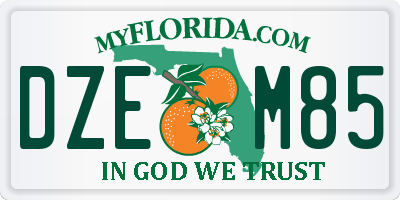 FL license plate DZEM85