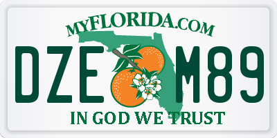 FL license plate DZEM89