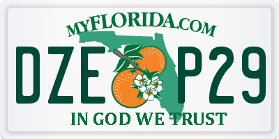 FL license plate DZEP29
