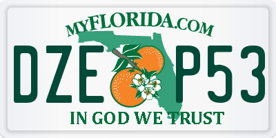 FL license plate DZEP53