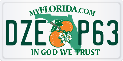 FL license plate DZEP63