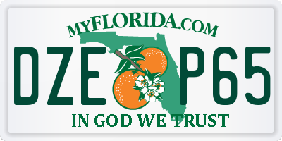 FL license plate DZEP65