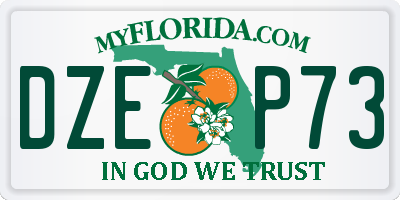 FL license plate DZEP73