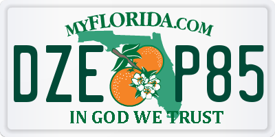 FL license plate DZEP85