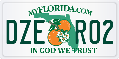 FL license plate DZER02