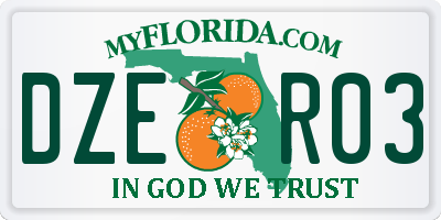 FL license plate DZER03
