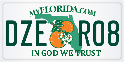 FL license plate DZER08