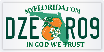 FL license plate DZER09