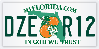 FL license plate DZER12