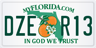 FL license plate DZER13