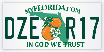 FL license plate DZER17