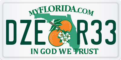 FL license plate DZER33