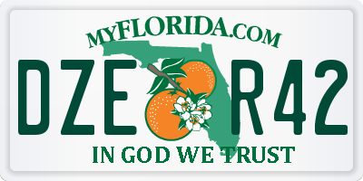 FL license plate DZER42