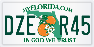 FL license plate DZER45