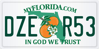 FL license plate DZER53