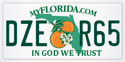 FL license plate DZER65