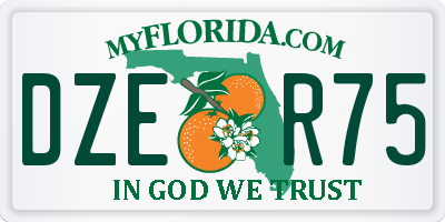 FL license plate DZER75
