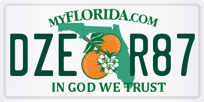 FL license plate DZER87