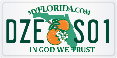 FL license plate DZES01