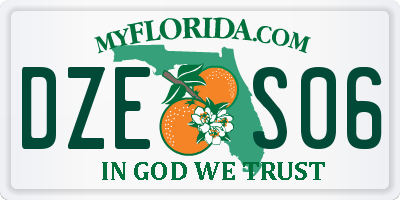 FL license plate DZES06