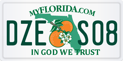 FL license plate DZES08