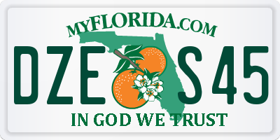 FL license plate DZES45